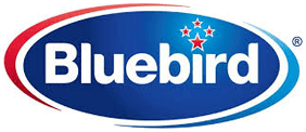 Bluebird